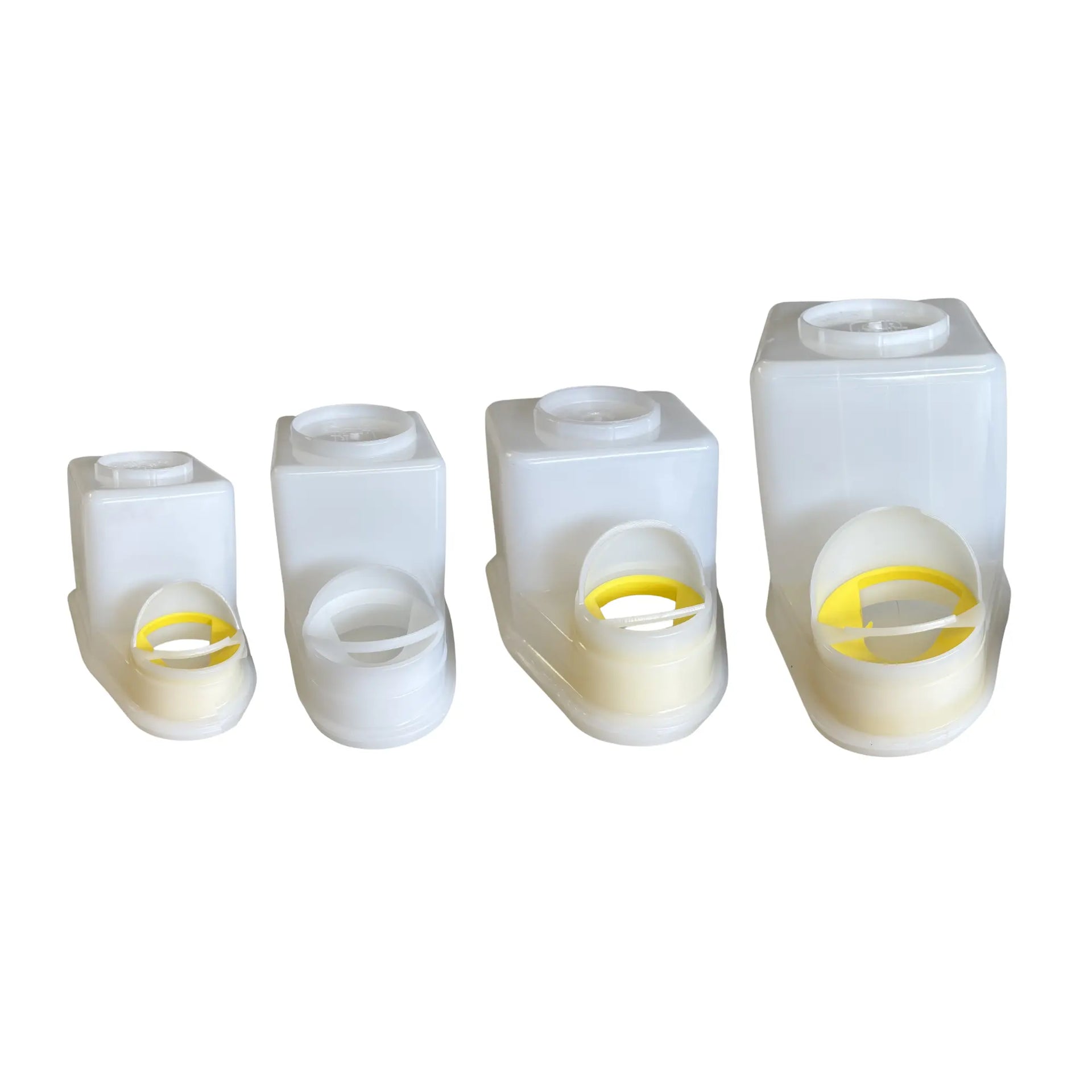 Glue dispenser with brush - 4 capacities available My Podologie 