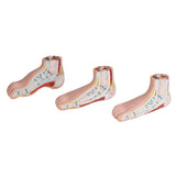 Series of 3 mini feet (physiological, flat and hollow)