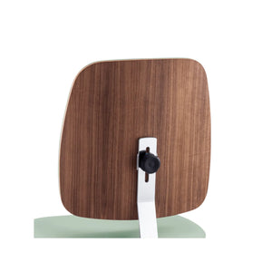 Siège praticien - DYNAMIC - Ruck Ruck  Sauge-Long-CPL-Noyer