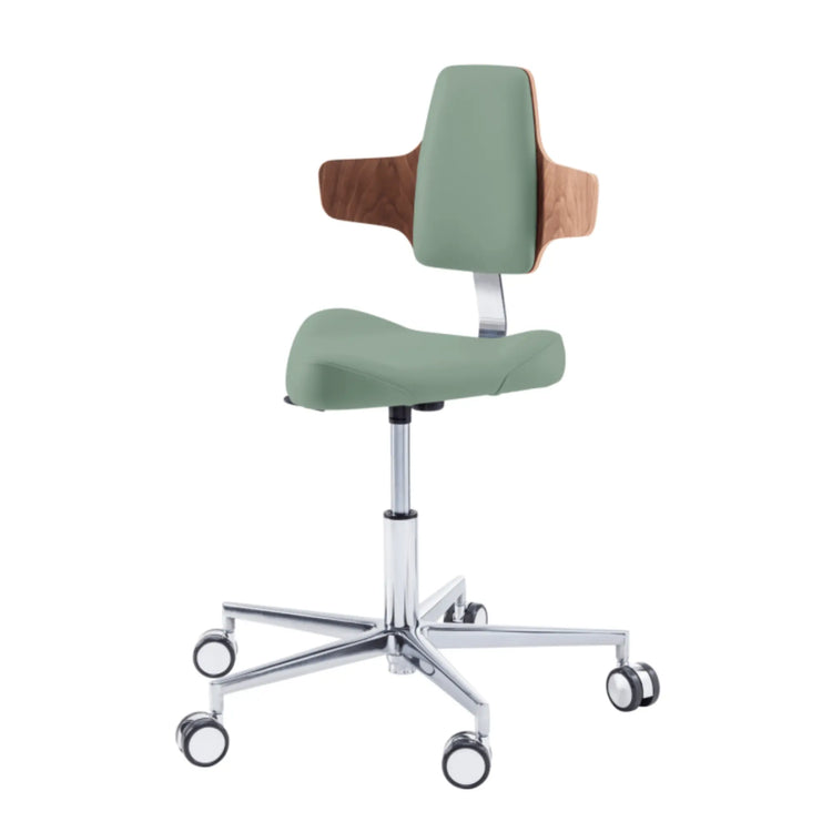 Siège praticien - TRIANGLE - Ruck - Ressort à Gaz Long Ruck  Sauge-Dossier-Napo-CPL-Noyer